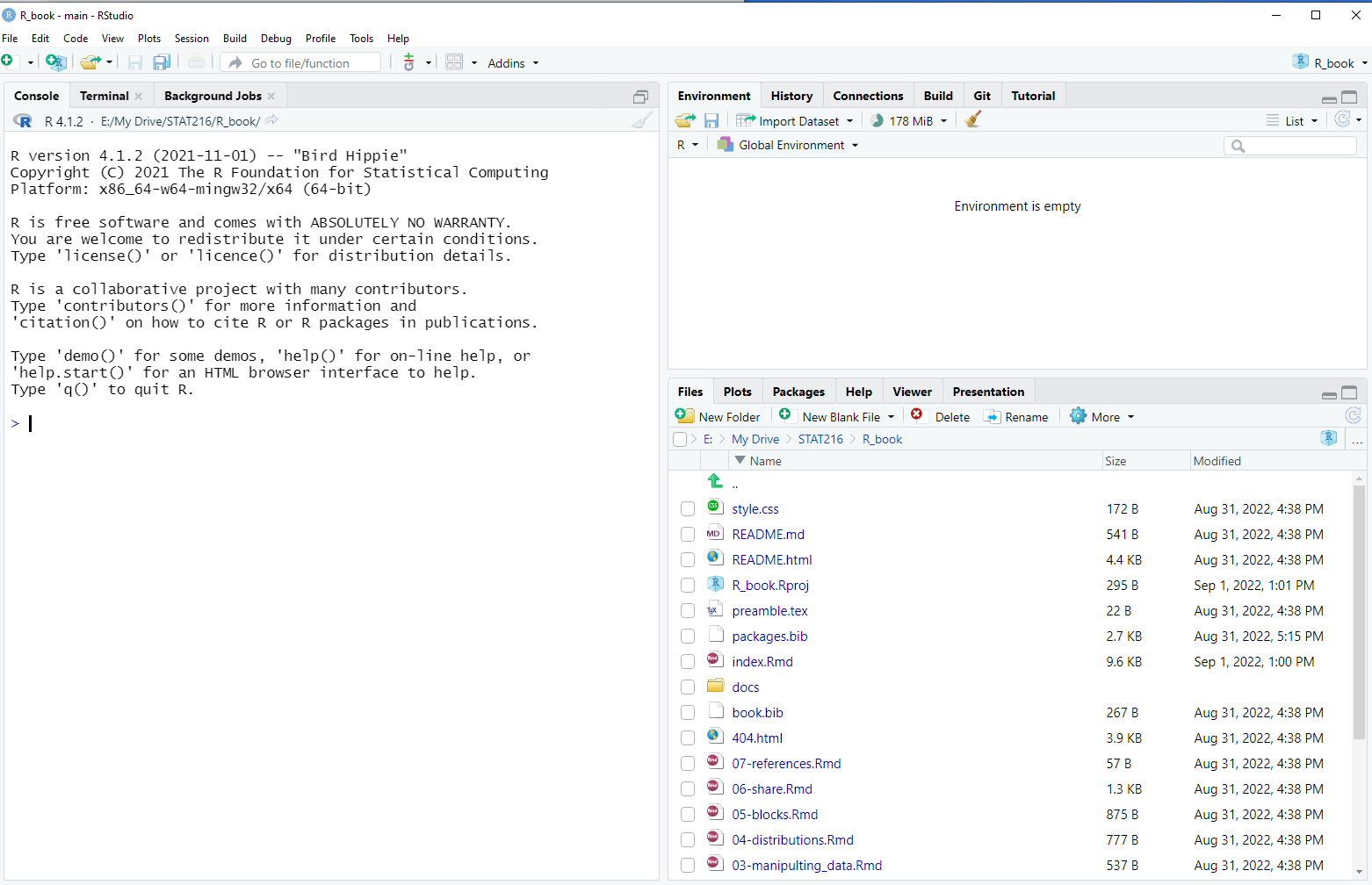 An RStudio terminal.